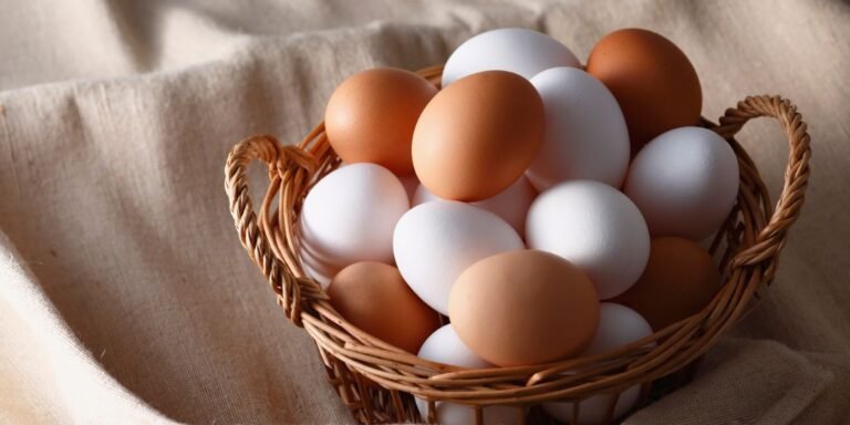 From Holbrook to Wagga Wagga: Why Fresh Eggs Matter at Fitz Cafe