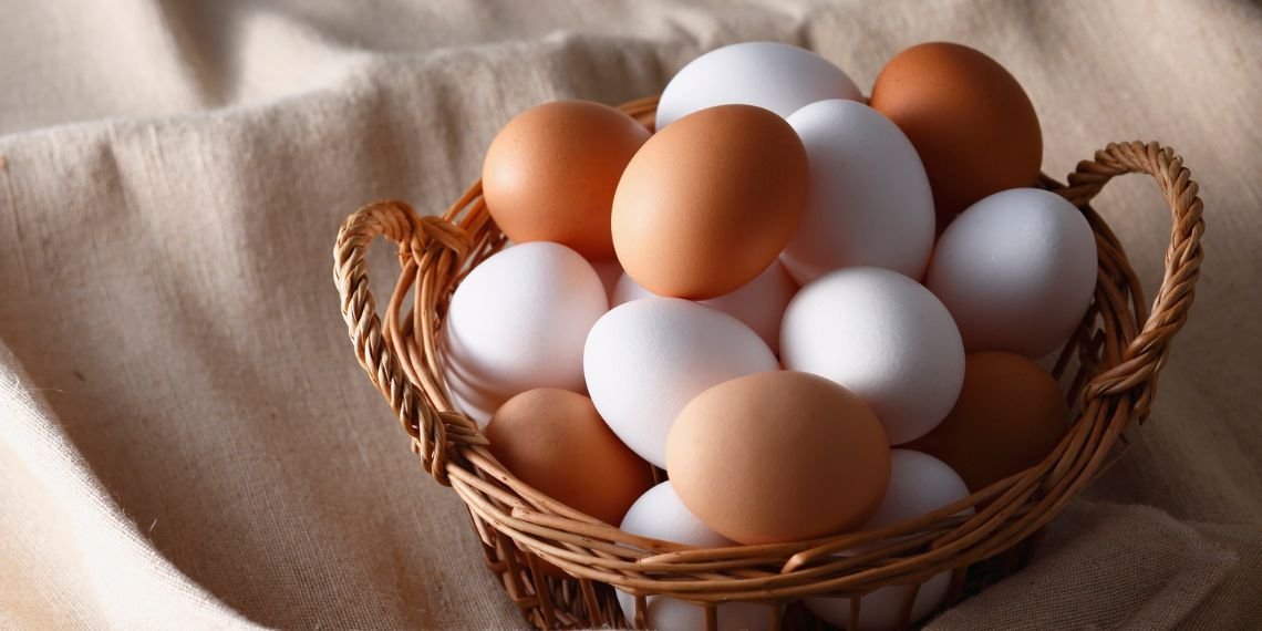 From Holbrook to Wagga Wagga: Why Fresh Eggs Matter at Fitz Cafe